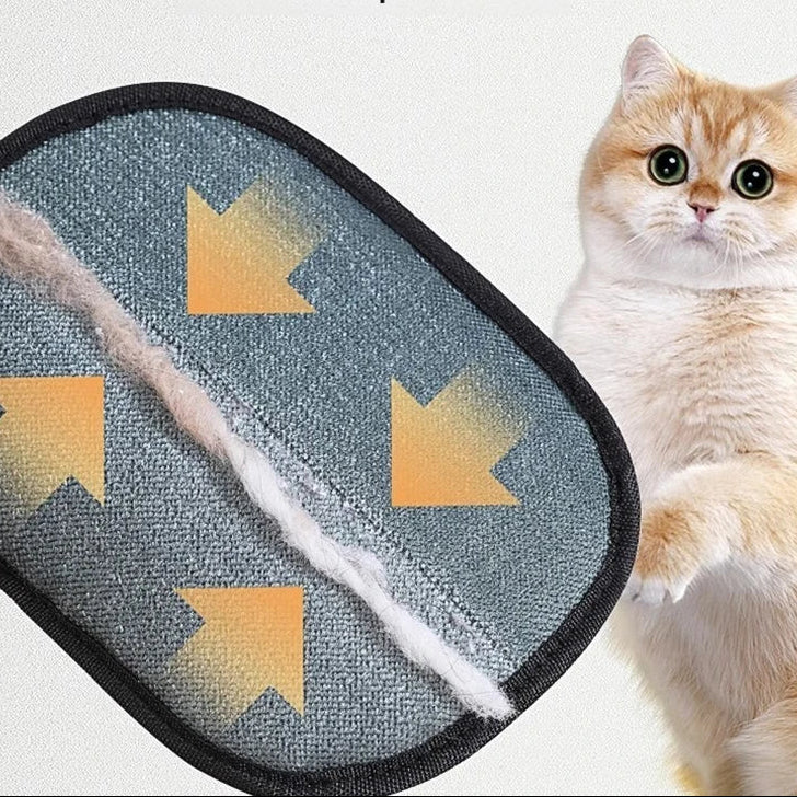 Pet Hair Removal Gloves, Cat Hair, Dog Hair Brush, Hair Remover, Household Carpet, Sofa, Adhesive Hair Gloves, Cleaning Brush